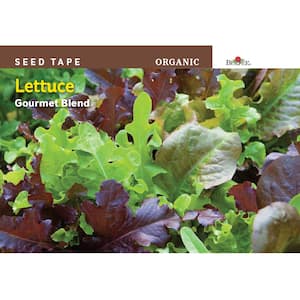 Seed Tape Organic Lettuce Gourmet Blend Seed