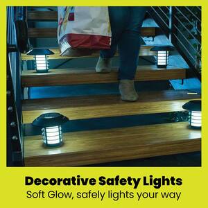 Solar Power Pathway Lights Black 2 Modes 21 Lumen LED Landscape Path Light with Remote Control (Set of 4)