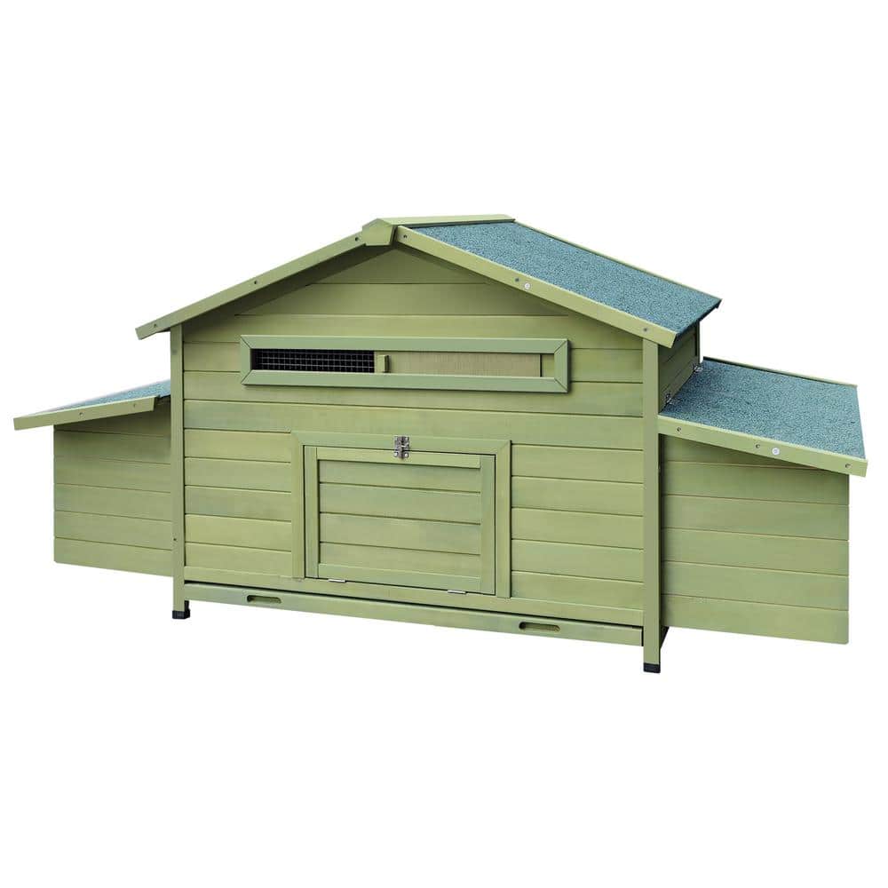 Green Wooden Chicken Coop with Nesting Boxes and Free-Range Doors