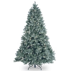 7 ft. Feel Real Downswept Douglas Blue Fir Hinged Tree with 700 Clear Lights