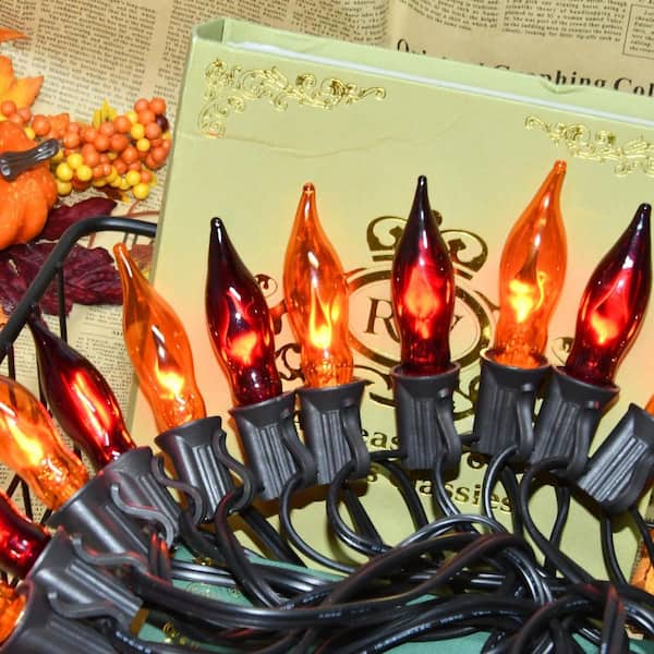 【コーウィン様用】FALLUJAH / Undying Light 12/3 SJTW String Lights with Metal Cage