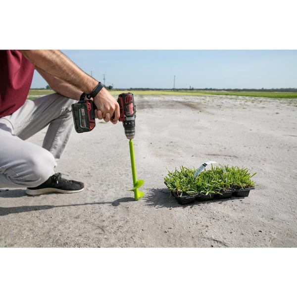 Citrablue Augustine Grass Plugs 72 Count informacionpublica.svet.gob.gt