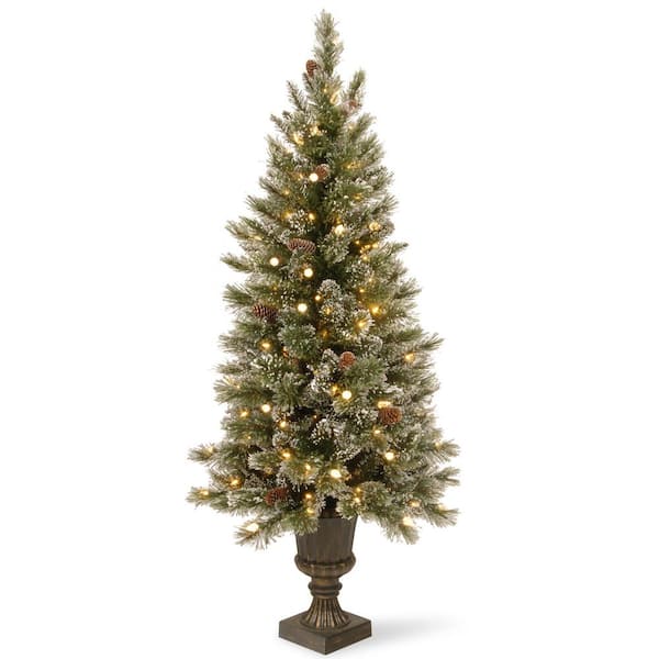 National Tree Company 4 ft. Glittery Bristle Entrance Artificial Christmas Tree with Warm White LED Lights