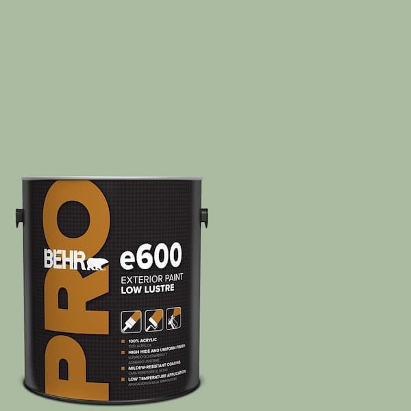BEHR PRO 1 gal. #T17-07 Balanced Low Luster Exterior Paint