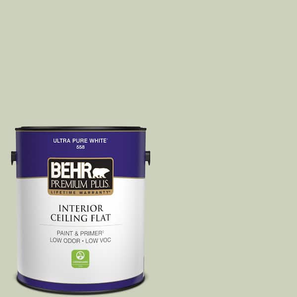 1 gal. #PPU10-09 Chinese Jade Ceiling Flat Interior Paint