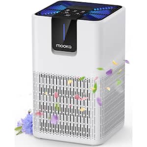 Air Purifiers With Sleep Mode Vs Standard Models: Which is Best?