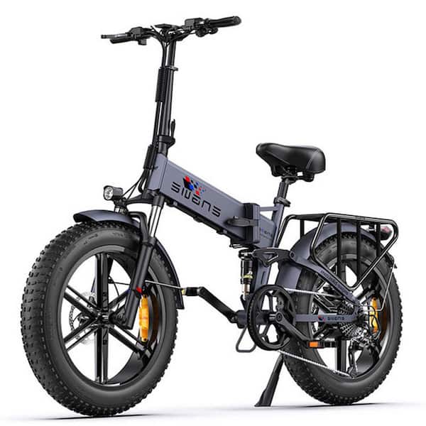 Zeus & Ruta 20 in. 750-Watt Folding Electric Bike Fat Tire 48-Volt 16 Ah Lithium Removable Battery for Adults