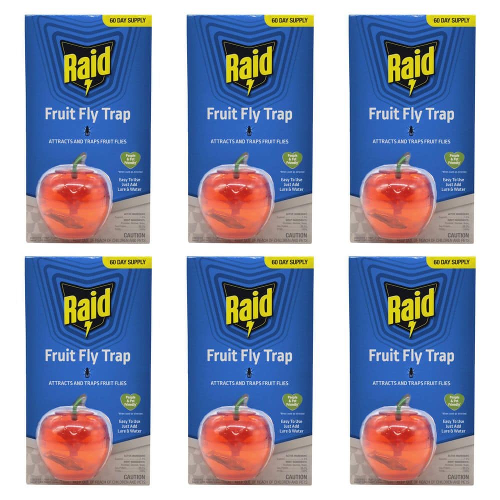 Raid Fruit Fly Apple Design Traps (6-Pack) FFTA-RAID-H - The Home Depot