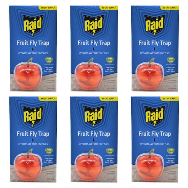 Fruit Fly Apple Design Traps (6-Pack)