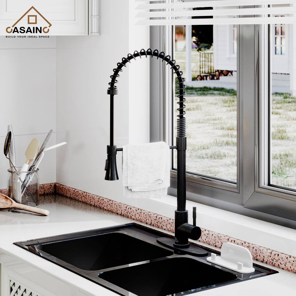 Matte Black Pull-Down Kitchen Faucet with Dual-Function Spray Head