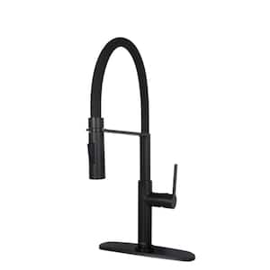 Single Handle Pull Down Sprayer Kitchen Faucet Kitchen Faucet with Brass in Black
