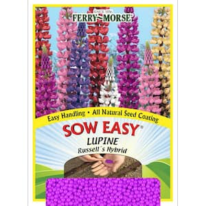 Sow Easy Lupine Russell's Hybrid Flower Seed