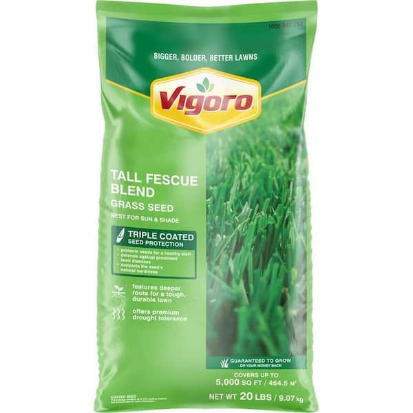 20 lbs. Tall Fescue Grass Seed Blend