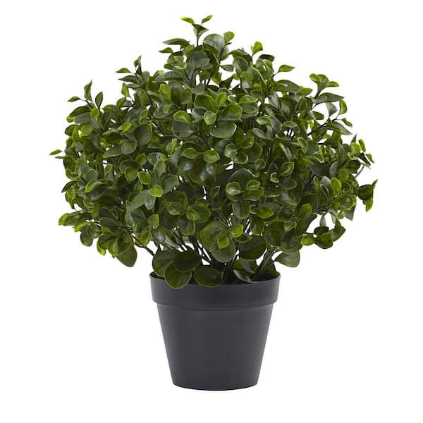Nearly Natural Indoor/Outdoor 23 in. Artificial Peperomia Plant UV Resistant