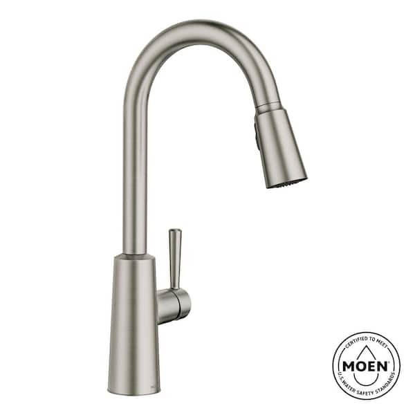 Riley Single Handle Pull-Down Sprayer Kitchen Faucet with Reflex and Power Clean in Spot Resist Stainless