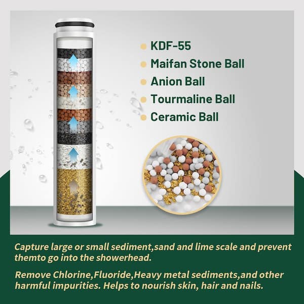 Rain 2-in-1 9-Spray Patterns Adjustable Wall Mount Shower Head with Filter 2.5 GPM and Handheld Shower Head in Chrome