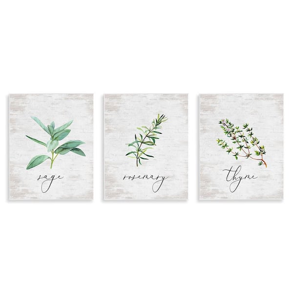 Stupell Industries Charming Summer Kitchen Herbs by Lettered and Lined 3 Pieces Unframed Typography Graphic Art Print 14 in. x 11 in.