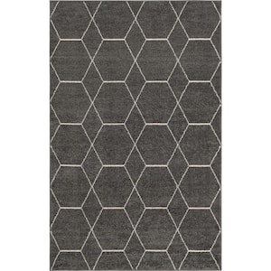 Trellis Frieze Dark Gray/Ivory 5 ft. x 8 ft. Geometric Area Rug