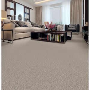 Enchanted - Color Pixel  61 oz. Polyester Texture Beige Installed  Carpet