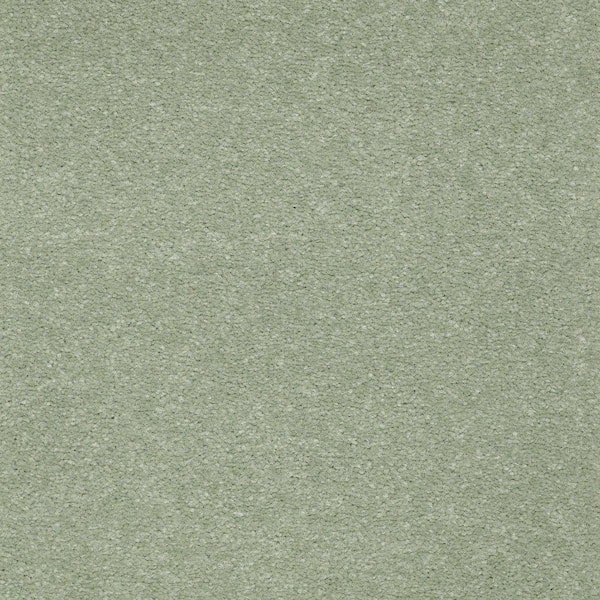 Platinum Plus Carpet Sample - Enraptured II - Color Ocean Spray Texture 8 in. x 8 in.