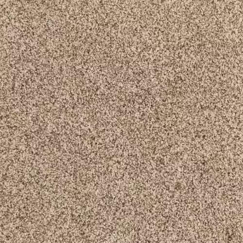 8 in. x 8 in. Texture Carpet Sample-Heartfelt Fashion-Color Dusty Trail price history on PriceWatchPro