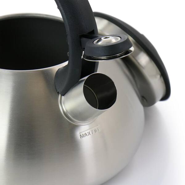 https://images.thdstatic.com/productImages/7d7662e4-3288-48ca-a922-ec4d8e5a5f26/svn/stainless-steel-mr-coffee-tea-kettles-985115258m-4f_600.jpg