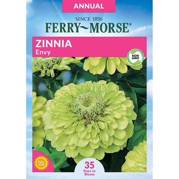 Ferry-Morse Zinnia Envy Flower Seed