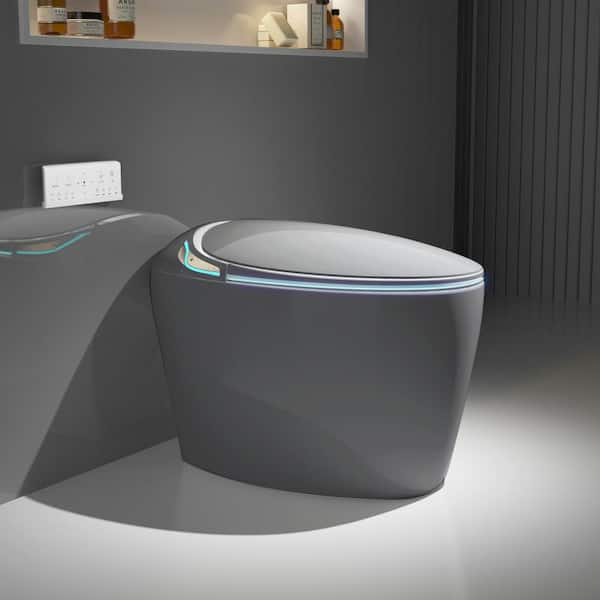 Unbranded Oblong Smart Toilet Bidet in Gray with Advanced Features
