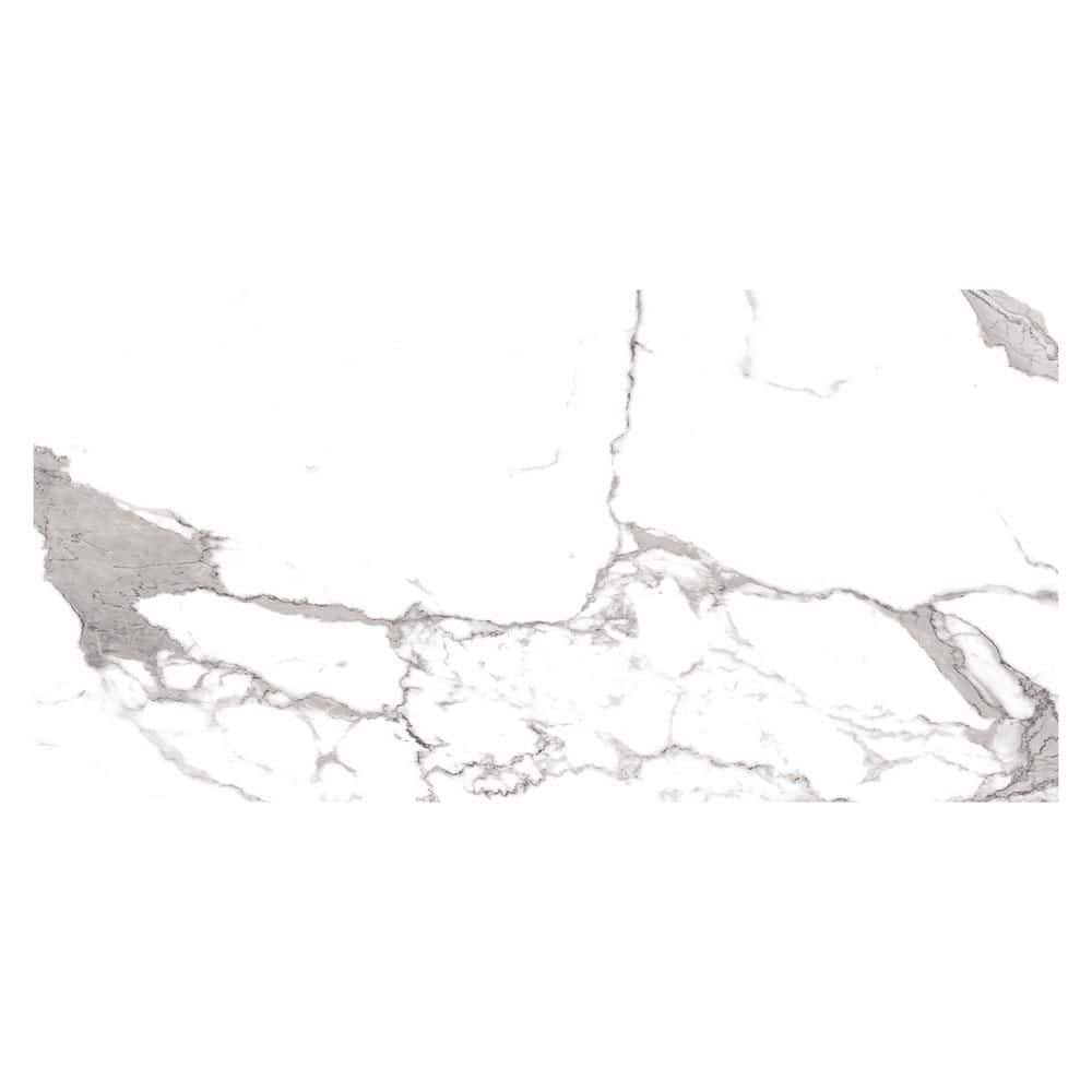 Kaia Nizarra Grey 12 in. x 24 in. Stone Look Polished Porcelain Wall and Floor Tile Sample price history on PriceWatchPro