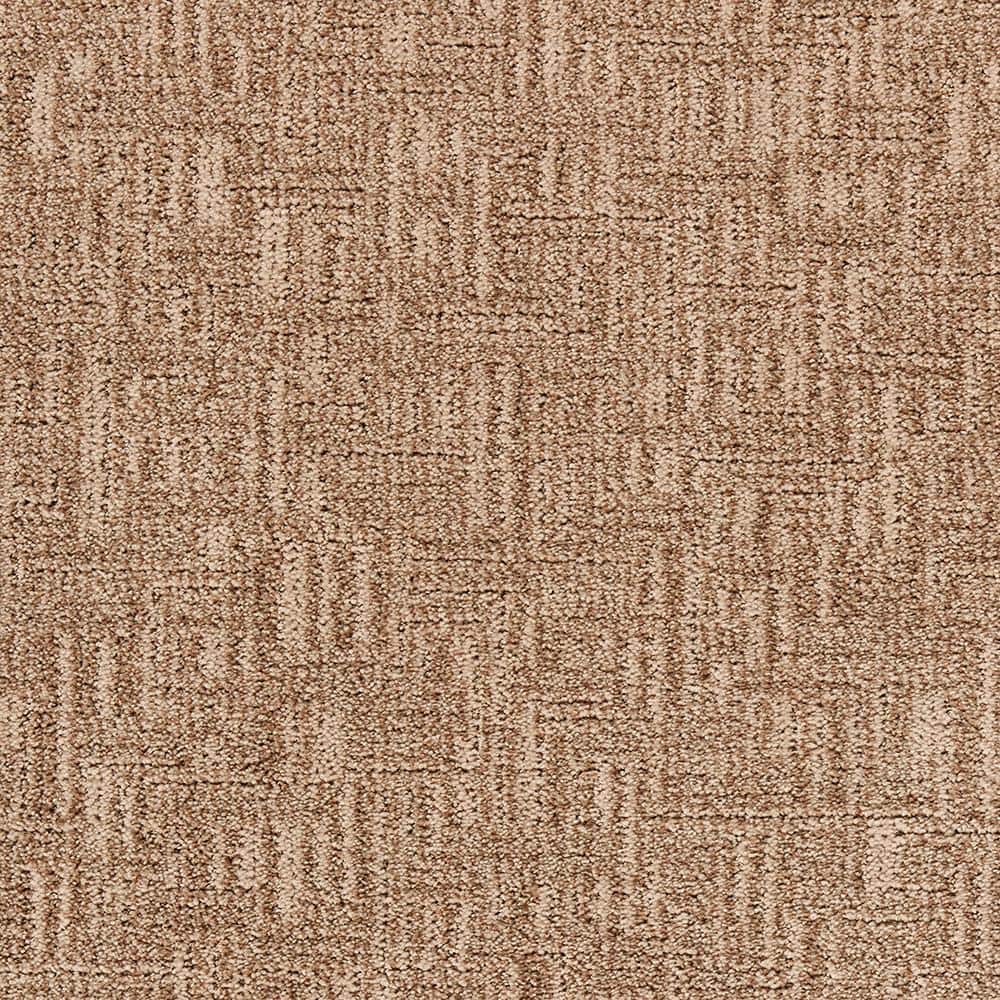 8 in. x 8 in. Pattern Carpet Sample - Star of the Show -Color Windfresh price history on PriceWatchPro