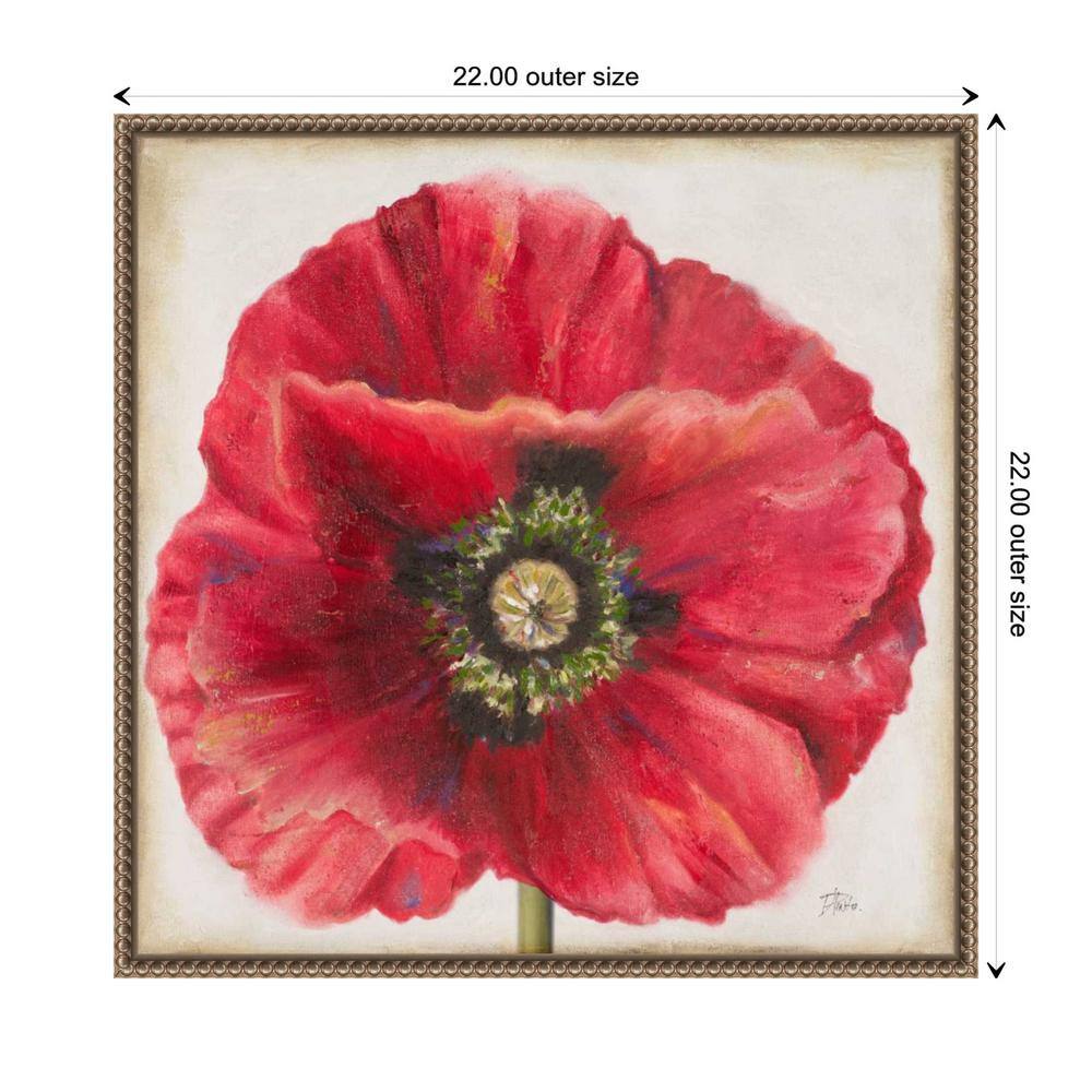 Red Poppy Beaded Perimeter Framed Canvas Wall Art