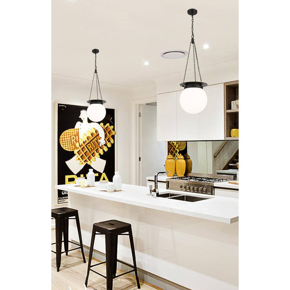 Calhoun Matte Black Steel and Glass Globe Pendant Light