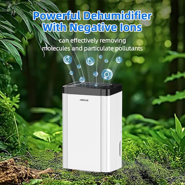 Edendirect 50 pt. 4,500 sq. ft. Dehumidifier for Basement with