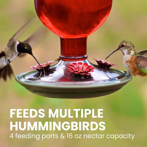 Red Antique Decorative Glass Hummingbird Feeder - 16 oz. Capacity