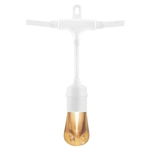 24 Bulb 48 ft. Outdoor/Indoor White Vintage LED String Lights, Acrylic Edison Bulbs
