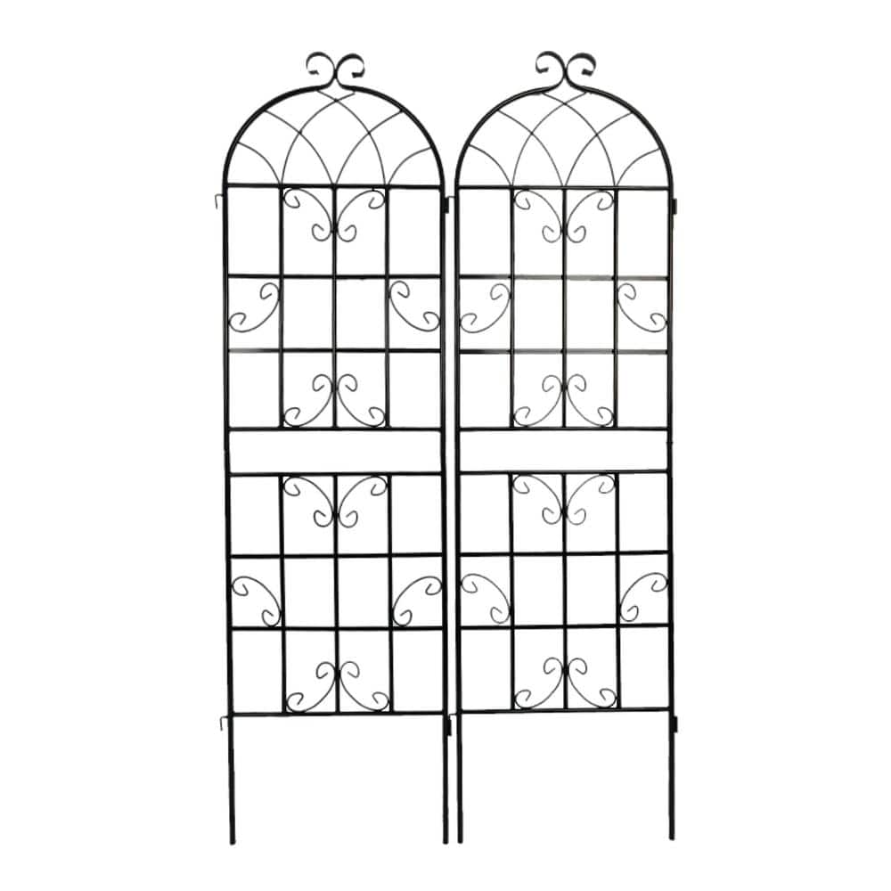 Angel Sar 71 in. 2Pack Metal Garden Trellis, Black VCPX8125 The Home