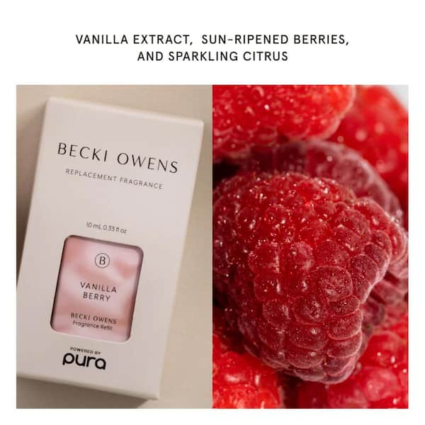 Door Fresh Fragrance Insert - 12 pack - Sun Ripened Raspberry