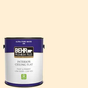 1 gal. #M270-1 Pearly White Ceiling Flat Interior Paint