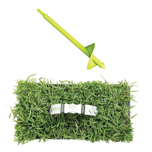 Sod Pods Centipede Sod/Grass Plugs 32-Count/SP Power Planter Bundle - Natural, Affordable Lawn Improvement