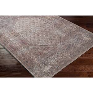 Kiera Pale Pink 5 ft. x 7 ft. Traditional Indoor Area Rug