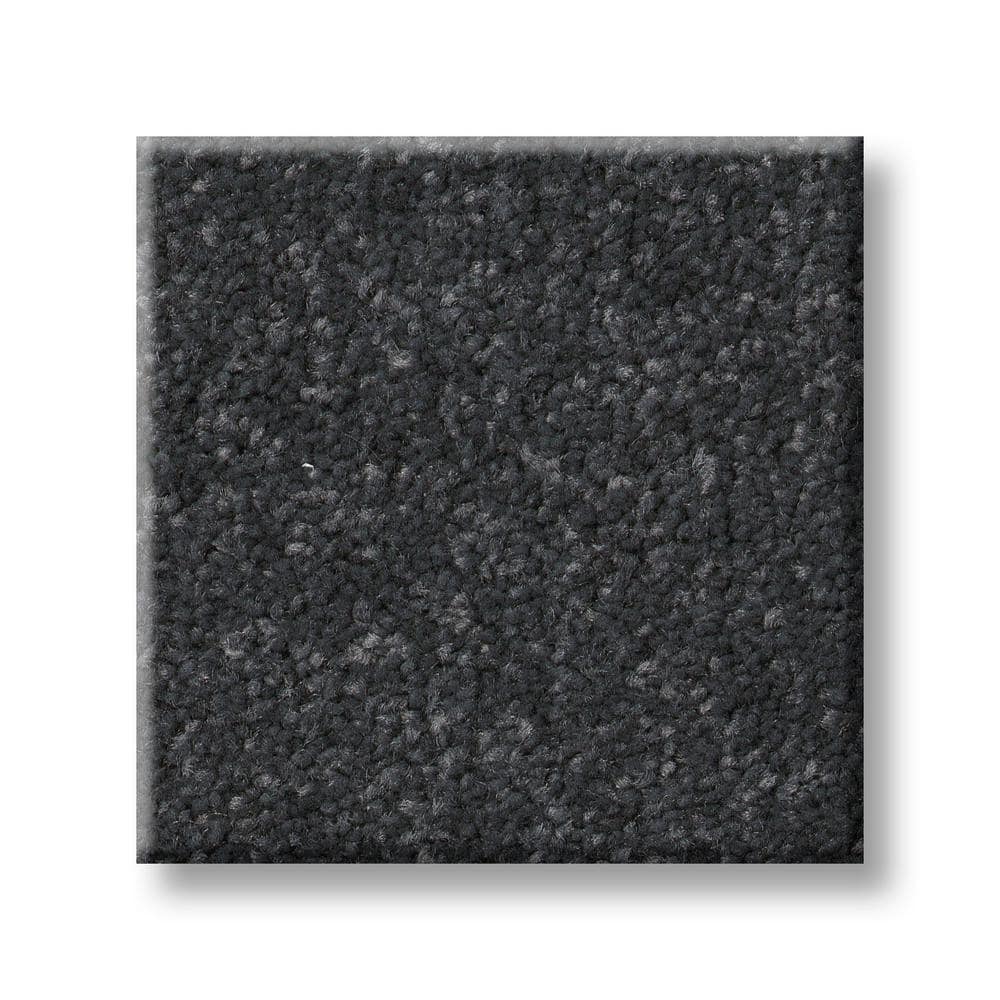 8 in. x 8 in. Texture Carpet Sample - Blakely II -Color Basalt price history on PriceWatchPro