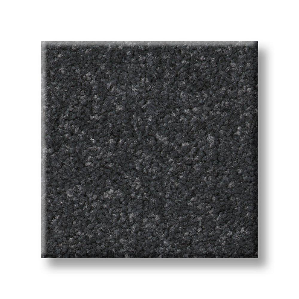 8 in. x 8 in. Texture Carpet Sample - Blakely I -Color Basalt price history on PriceWatchPro