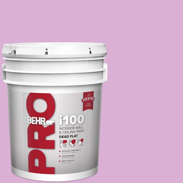 5 gal. #P110-3 BFF Dead Flat Interior Paint