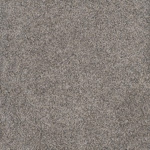 Topaz I - Elkridge - Beige 40 oz. SD Polyester Texture Installed Carpet