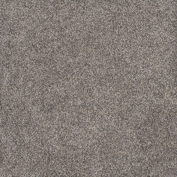 Home Decorators Collection Topaz I - Elkridge - Beige 40 oz. SD Polyester Texture Installed Carpet