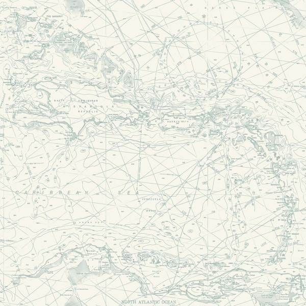 Chesapeake Charts Blue Nautical Chart Matte Paper Pre-Pasted Wallpaper Sample
