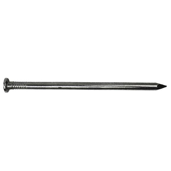 PROFIT 12 in. Hot Dipped Galvanized Common Spike Nail 54282 The Home
