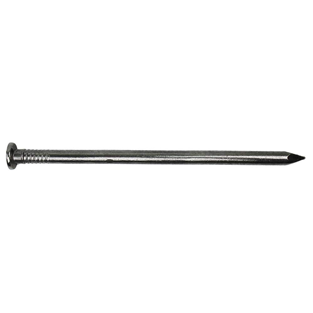 8 in. 50 lbs. Hot Dipped Galvanized Common Spike Nail (200-Count)