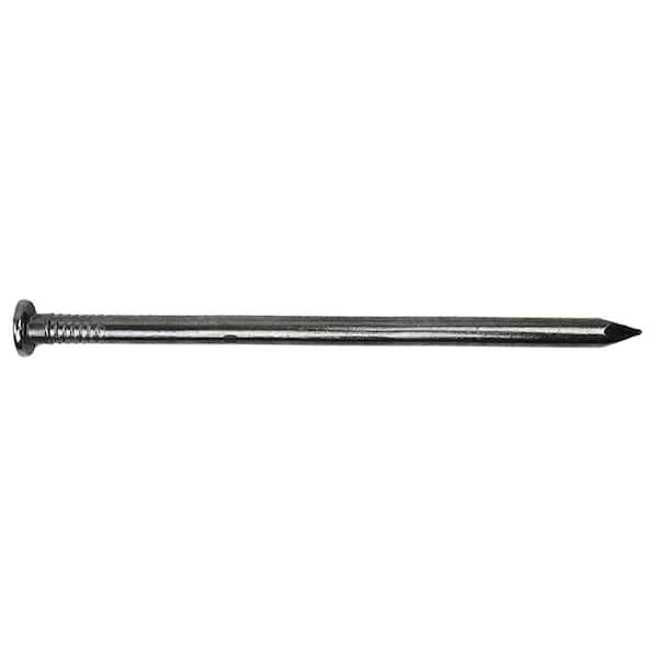 PRO-FIT 8 in. Hot Dipped Galvanized Common Spike Nail