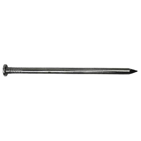 PRO-FIT 10 in. Hot Dipped Galvanized Common Spike Nail